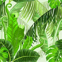 植物学,热带树,四方连续纹样,鸡尾酒,自然,热带雨林,图像,壁纸,植物群,叶子