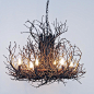 Twig Chandelier, 6-Light, Small - chandeliers - Shades of Light