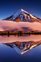 (5) Tumblr