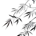 水墨竹林中式古典竹子竹叶png素材