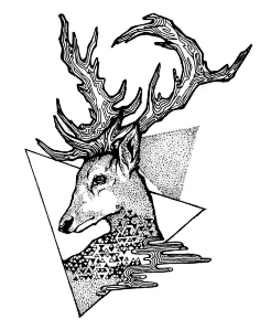 线描 鹿 鹿角 刮画 黑白线描安置未来采集到鹿角采集鹿角男手绘安置