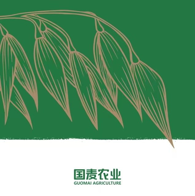 国麦农业