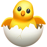 hatching-chick_1f423