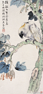 《 著名画家张大壮花鸟画欣赏 》 张大壮（1903～1980） 初名颐，字养初，号养庐，浙江杭州人。章太炎甥。十四岁随父定居上海，即从李汉卿、汪洛年学花卉、山水。其花鸟画与唐云、江寒汀、陆抑非有海上“四大花旦”之誉。