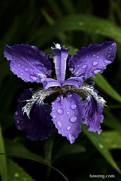 ∞彩虹糖采集到花花世界