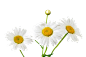 2 (9)