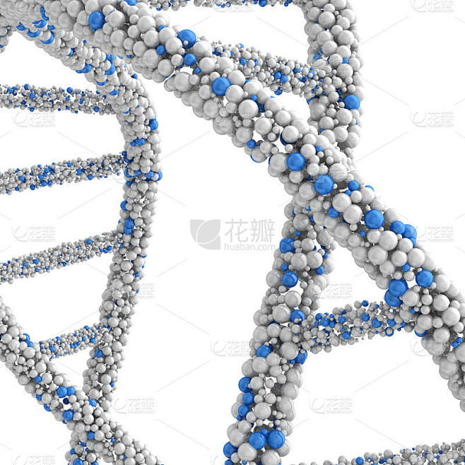 在白色背景上分离出近似的DNA分子