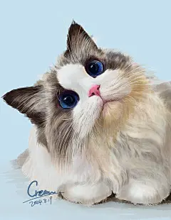 手绘猫咪 板绘 可爱猫咪 布偶猫