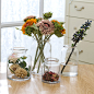 欧式现代简约圆口玻璃花瓶 创意透明插花日式花器 客厅装饰摆件-淘宝网