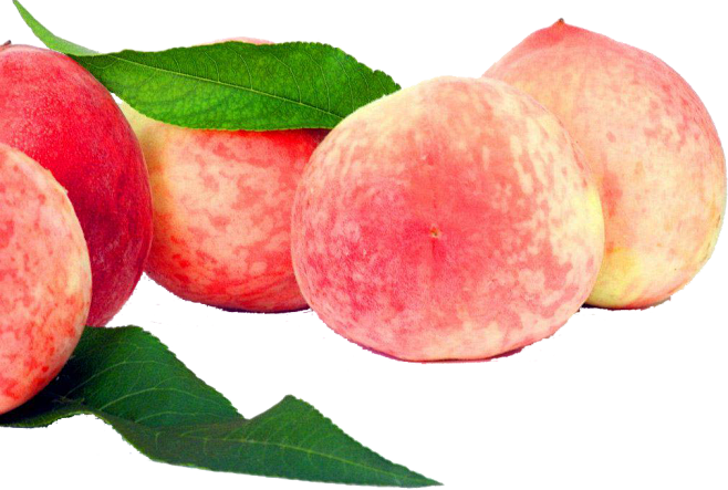 免扣水果PNG元素蔬菜 食物png