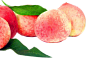 免扣水果PNG元素蔬菜 食物png