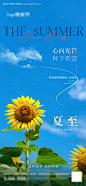 编号：20230607153214010【享设计】源文件下载-夏至节气海报