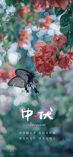 中伏 【酷图网】中伏,节气,24节气,传统节气,夏天,初伏天,三伏天,初伏,末伏,传统节日,中国传统,日历,节日,节假日,海报,朋友圈海报,朋友圈长图,公司长图,公司海报,初伏海报,初伏展板,初伏地产,初伏节日,原创