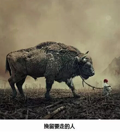 男女衣服搭配采集到成长励志