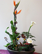 禅意插花