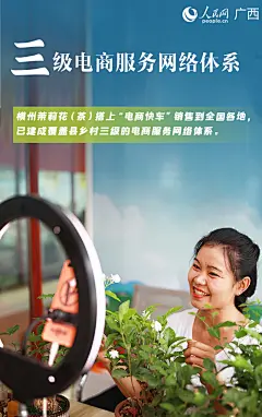 九张海报带你认识横州茉莉花
