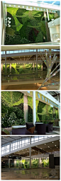 埃德蒙顿国际机场，活体植物生态墙壁。http://t.cn/zOrzNw3