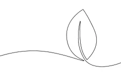 一笔画 | 图源免费EPS文件 |Single continuous line art growing sprout. Plant leaves seed grow soil seedling eco natural farm concept design one sketch outline drawing vector illustration
