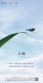 【源文件下载】 海报 房地产 二十四节气 小满 蜻蜓