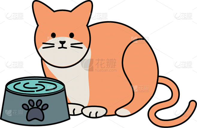可爱的,猫,水,吉祥物,饮料,宠物,愉悦,图像,液体,爱