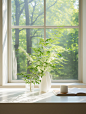 An empty window with plants and blinds, in the style of light white and white, streamline elegance, jazzy interiors, japanese minimalism, bright and bold color palette, ethereal trees, light and airy