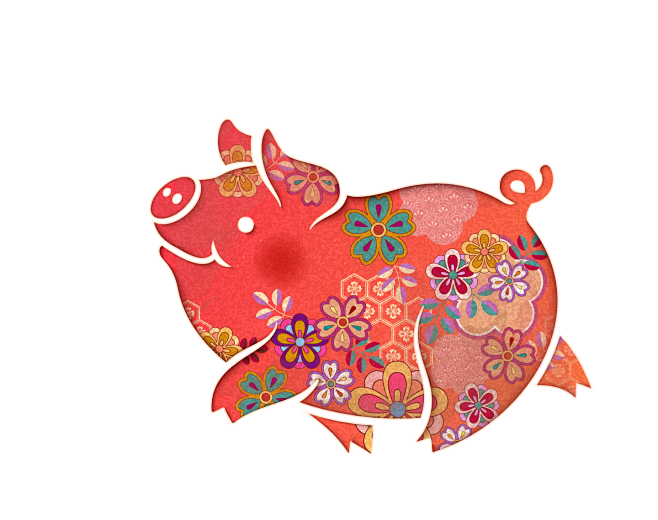 2019 猪年新春节日 png