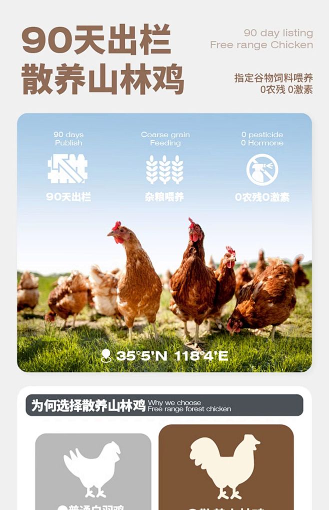 Cator喵彩鸡肉七日罐猫罐头猫咪零食罐...