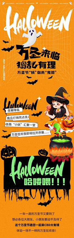 w27NyXei采集到2024双十一