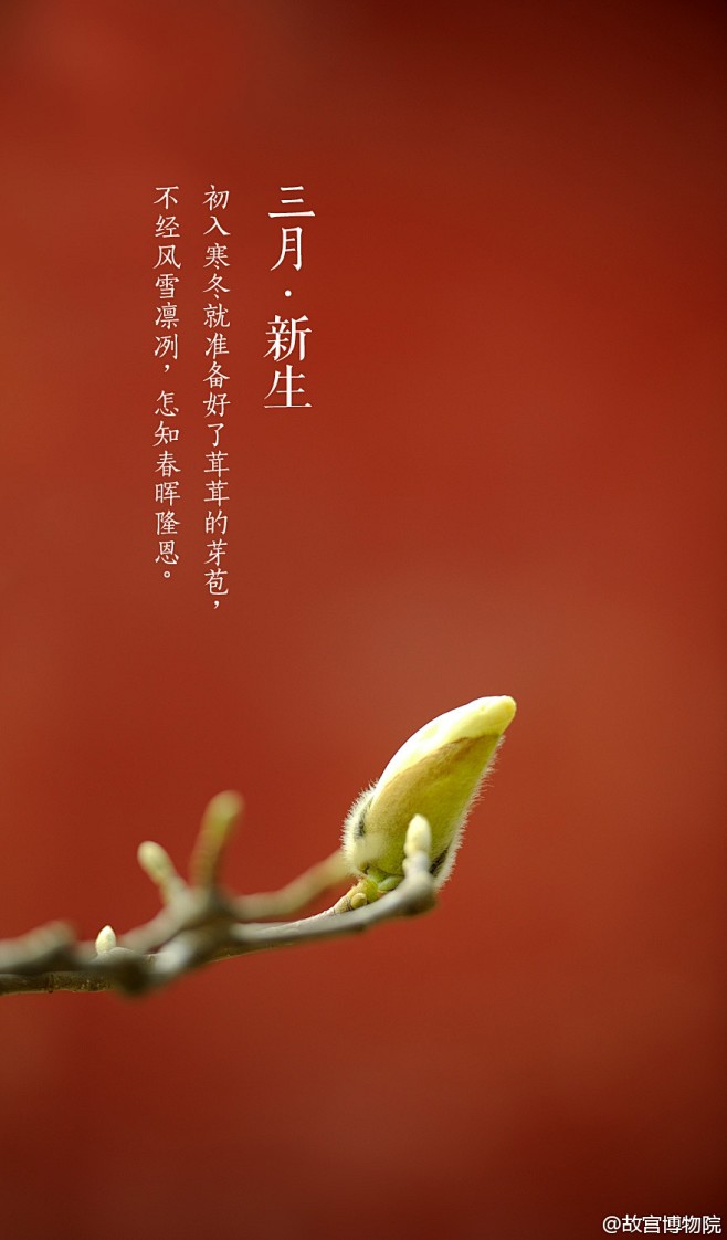 紫禁城岁时冰消出镜水梅散入风香三月的紫禁城空气依旧清冽护城河水