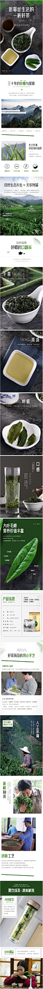 茶叶-大叶毛峰-有主题颜色对(t黄山微百年茶业)