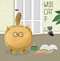 Wise Cat P on Behance