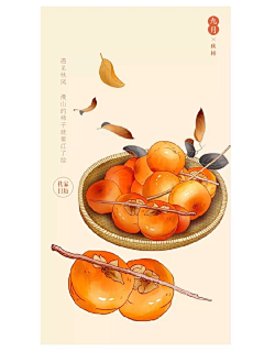潘潘he潘潘采集到节气美人