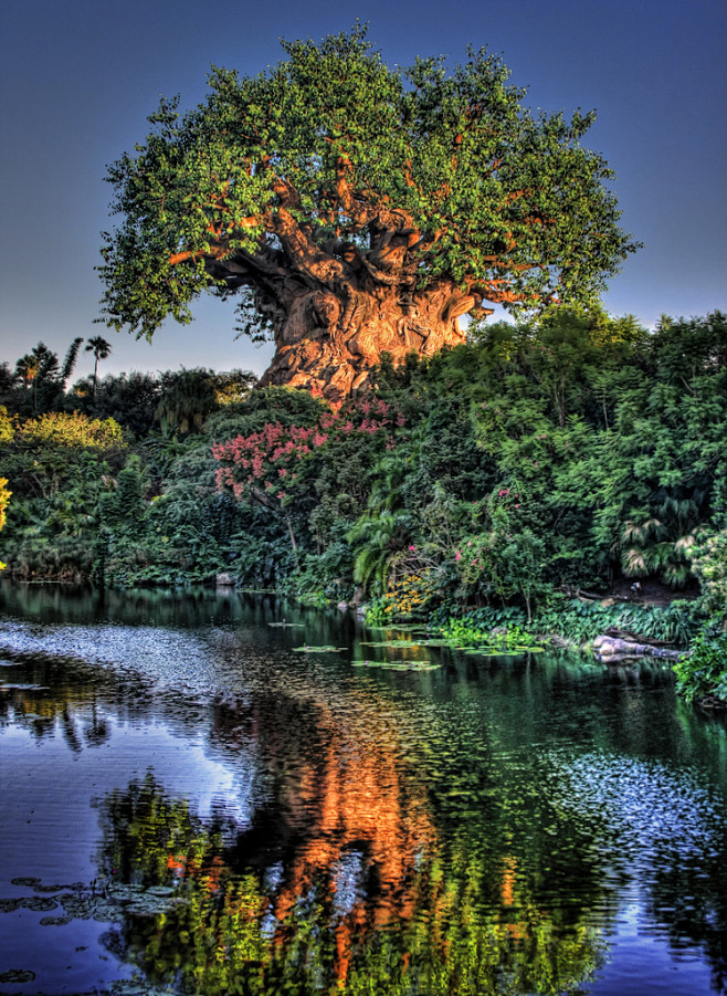 生命之树。迪斯尼动物王国，佛罗里达，美国