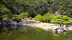 栀芓采集到植意——禅意 日式