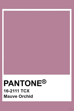 残酷、的现实采集到潘通(PANTONE)