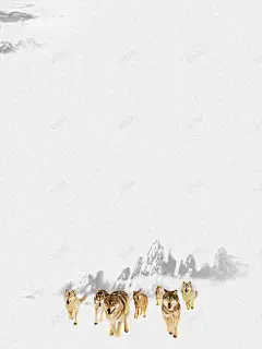 简约公司企业文化团结海报背景高清素材 狼性 设计图片 免费下载 页面网页 平面电商 创意素材