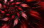 Multicolored symmetrical fractal pattern as flower by Natalya Yudina on 500px