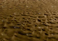 风味咖啡的颜色。沙漠。现代和当代室内设计墙纸。背景和纹理