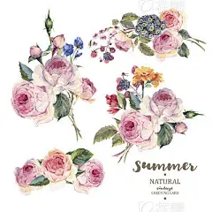 Set vintage floral vector bouquet of English roses