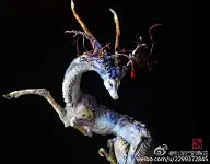 山海异兽怪志杂谈