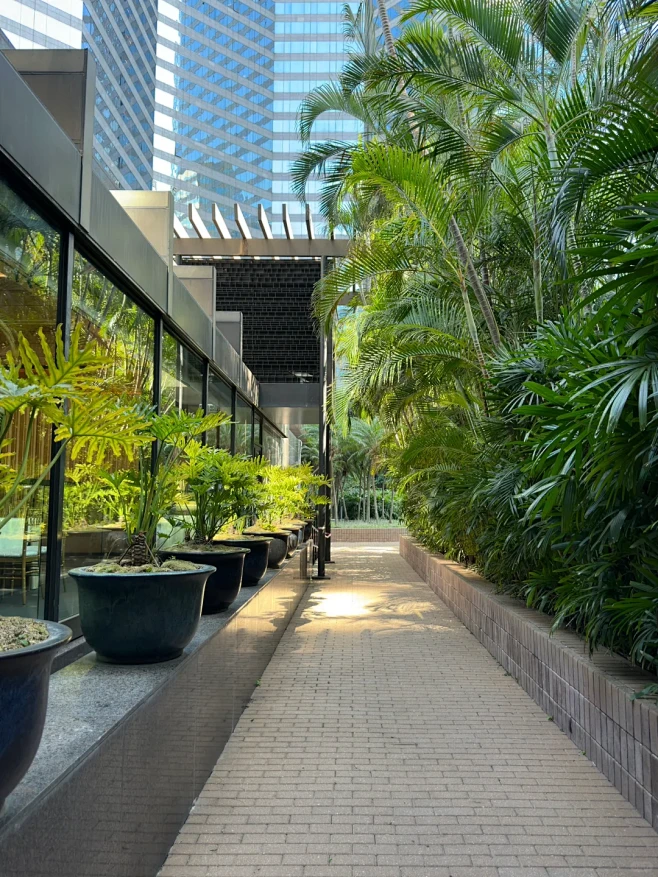 香港君悦酒店景观设计 - 小红书