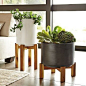 wood and ceramic planters: 