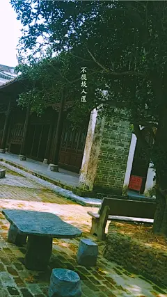 #壁纸# #手机壁纸#
自己拍的，做成了壁纸。加了个滤镜高贵很多。
希望你喜欢。
转载注明出处照渠。