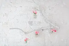 花瓶里的郁金香挂在用白砖砌成的墙上的装饰性树枝上