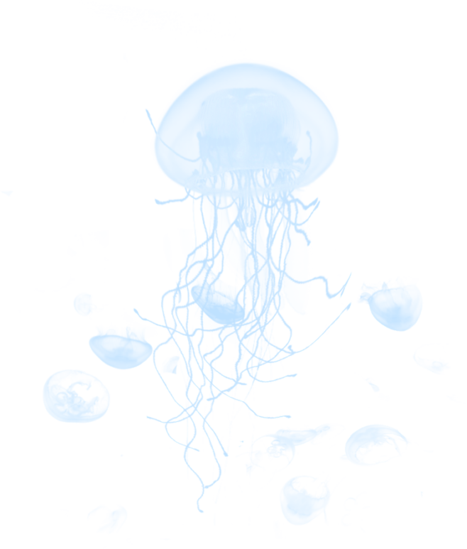 免扣透明素材 透气