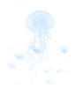 免扣透明素材 透气