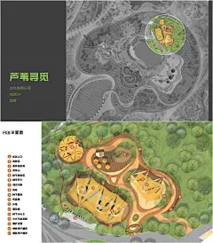 文旅融合「丫丫探险乐园•河北衡水湖」 - 小红书