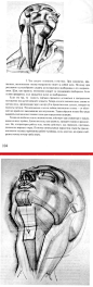 [动态素描 人体结构 动态形体绘画 艺用人体解剖 肖像画法].伯恩·霍加思 (Burne Hogarth) - 艺术 - 道客巴巴