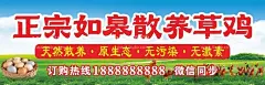农家散养土鸡纯天然海报喷绘  - 源文件下载【酷图网】农村散养,土鸡,喷绘布,纯天然,无公害
