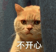 橘猫表情包 [我妈不让我跟傻子玩]